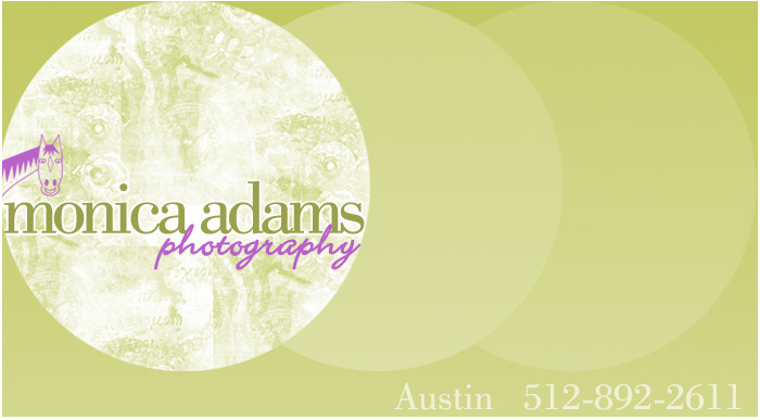 Monica Adams Photography