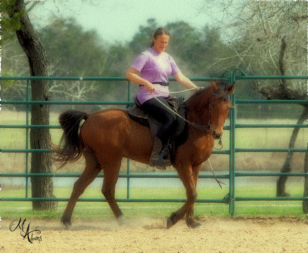 monica adams at Hy Court Farm