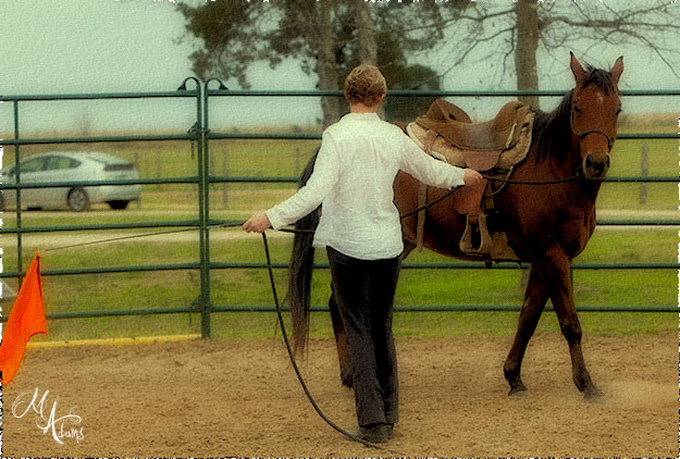 monica adams at Hy Court Farm