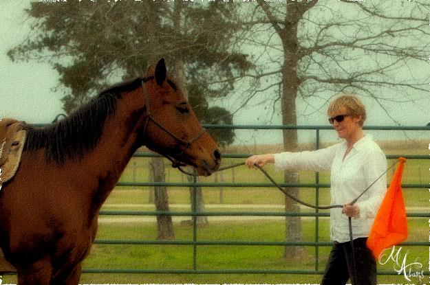 monica adams at Hy Court Farm