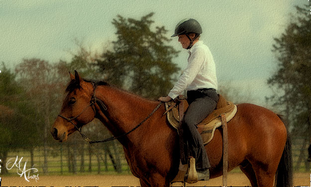 monica adams at Hy Court Farm