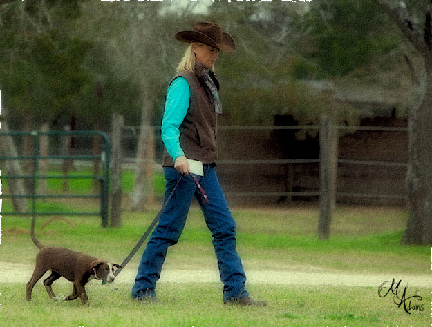 monica adams at Hy Court Farm