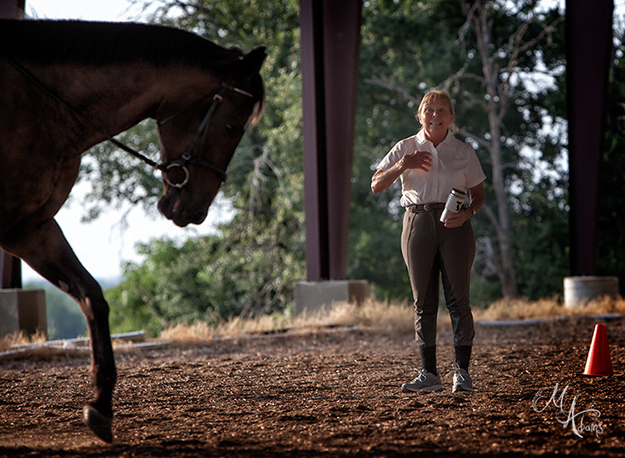 dressage photo copyright monica adams photography
