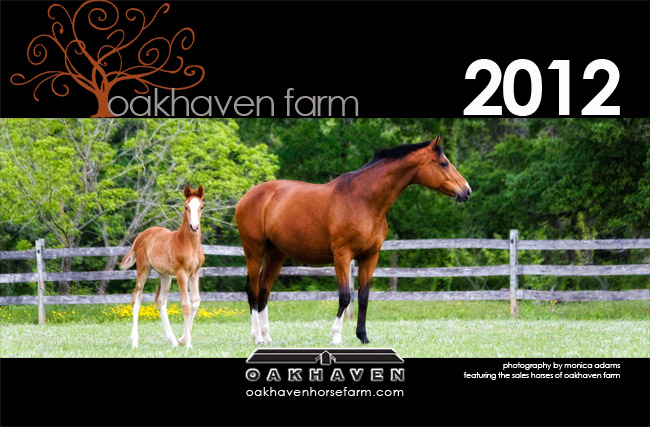 copyright Monica Adams - Oakhaven Farm