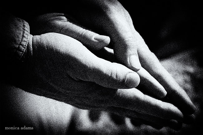 (c) monica adams