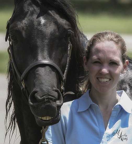 What horses think of human politics