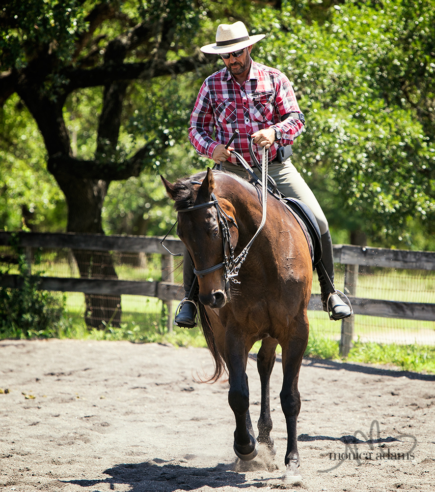 Michael & Crafty Vermaas Clinic - more photos....