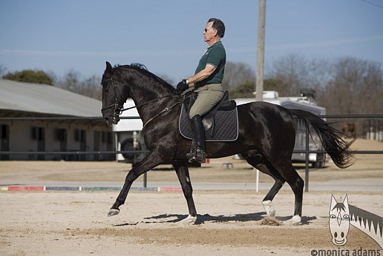 Askins/Dorsch with Helm 2008