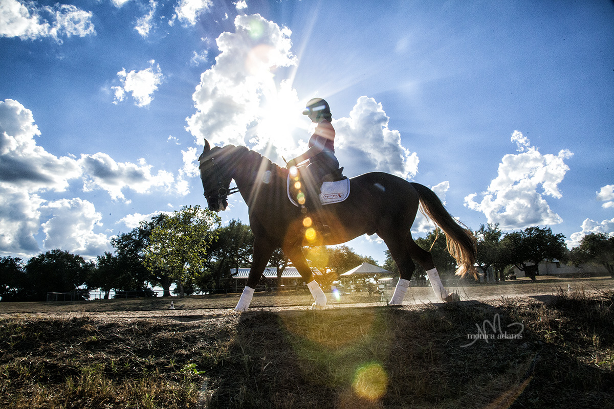 Rider at Kottas-Heldenberg Clinic