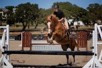 Jumper at Indian Creek show - 2008