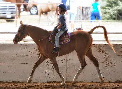 LOPE Benefit show, Seguin, TX